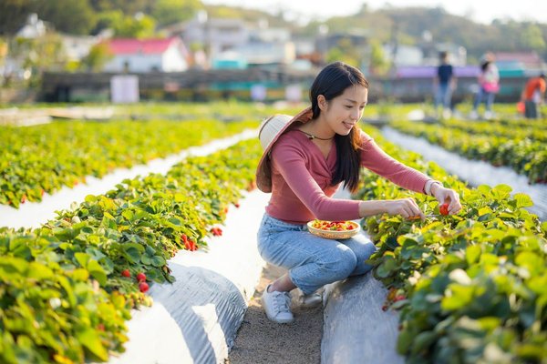 Check-list à suivre lors des visites de maisons à louer